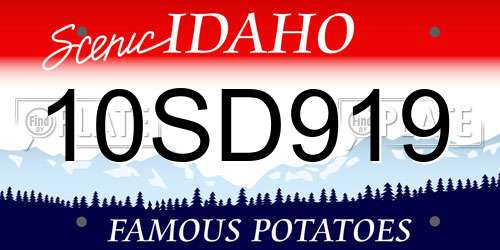 10SD919 Idaho License Plate