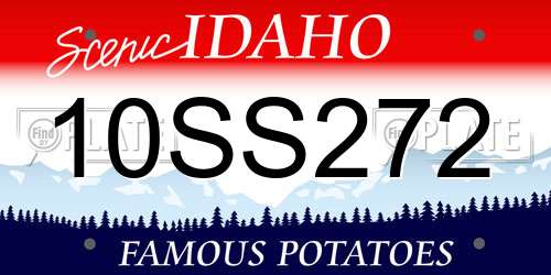 10SS272 Idaho License Plate