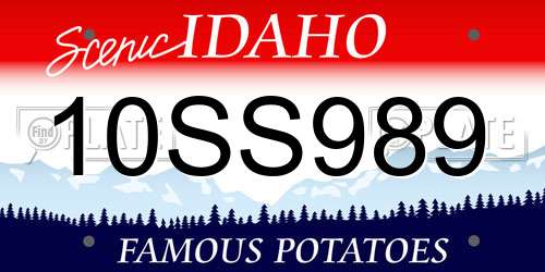 10SS989 Idaho License Plate