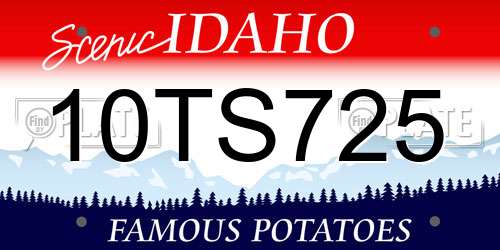 10TS725 Idaho License Plate