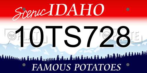 10TS728 Idaho License Plate