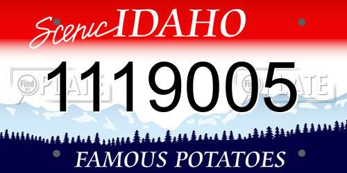 1119005 Idaho License Plate