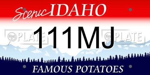 111MJ Idaho License Plate