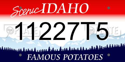 11227T5 Idaho License Plate