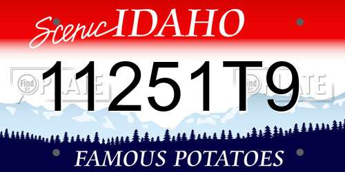 11251T9 Idaho License Plate