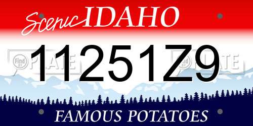 11251Z9 Idaho License Plate