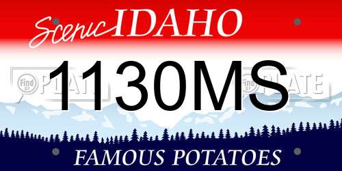 1130MS Idaho License Plate
