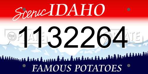 1132264 Idaho License Plate