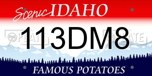 113DM8 Idaho License Plate