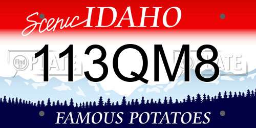 113QM8 Idaho License Plate