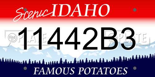 11442B3 Idaho License Plate