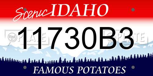 11730B3 Idaho License Plate