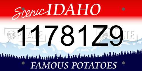 11781Z9 Idaho License Plate