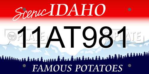 11AT981 Idaho License Plate