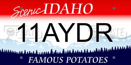 11AYDR Idaho License Plate