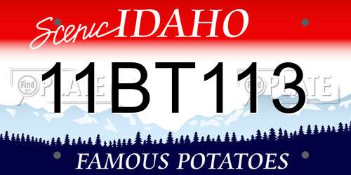 11BT113 Idaho License Plate