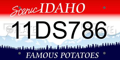 11DS786 Idaho License Plate
