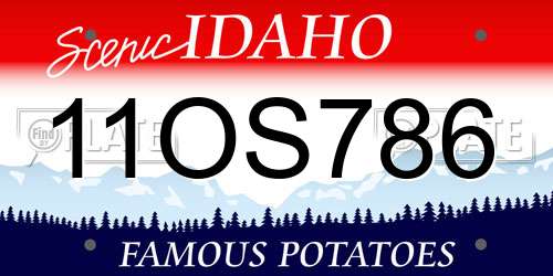 11OS786 Idaho License Plate