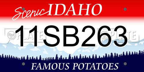 11SB263 Idaho License Plate