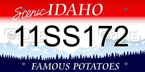 11SS172 Idaho License Plate