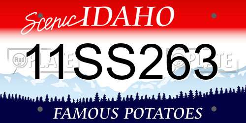 11SS263 Idaho License Plate