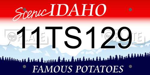11TS129 Idaho License Plate