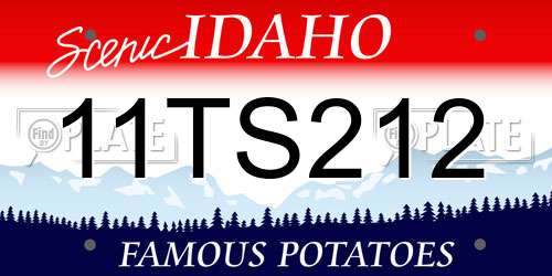 11TS212 Idaho License Plate