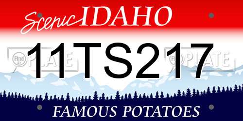11TS217 Idaho License Plate