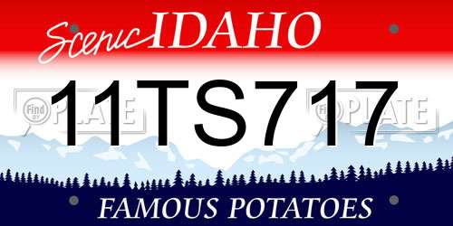 11TS717 Idaho License Plate
