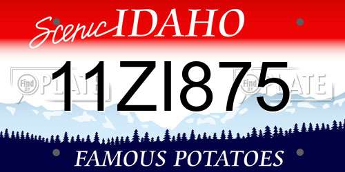 11ZI875 Idaho License Plate