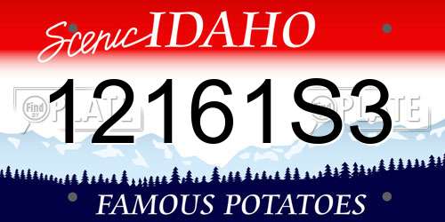 12161S3 Idaho License Plate