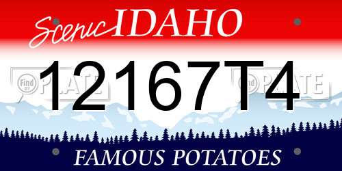 12167T4 Idaho License Plate