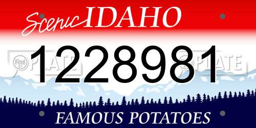 1228981 Idaho License Plate