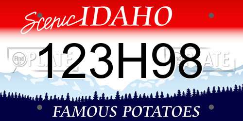 123H98 Idaho License Plate