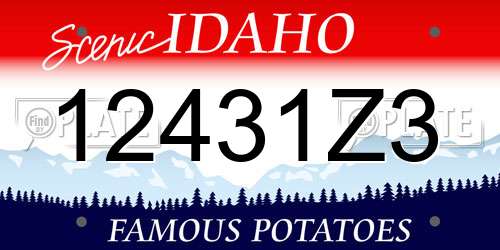 12431Z3 Idaho License Plate