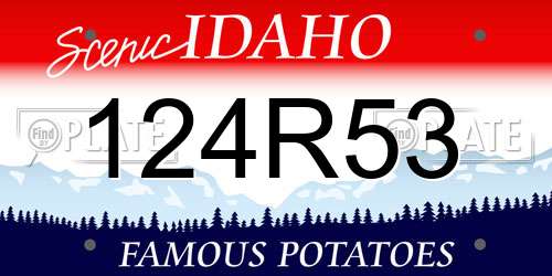 124R53 Idaho License Plate