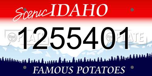 1255401 Idaho License Plate