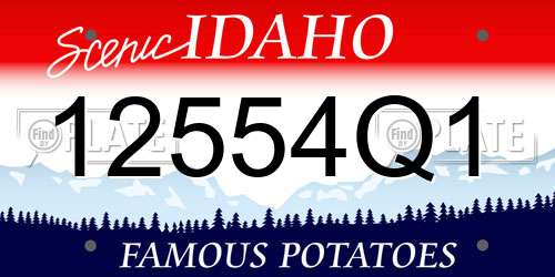 12554Q1 Idaho License Plate
