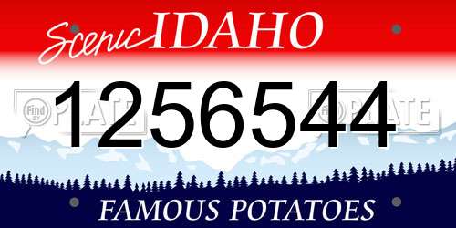 1256544 Idaho License Plate