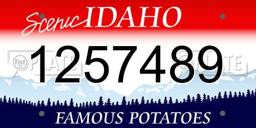 1257489 Idaho License Plate