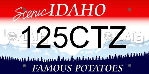 125CTZ Idaho License Plate