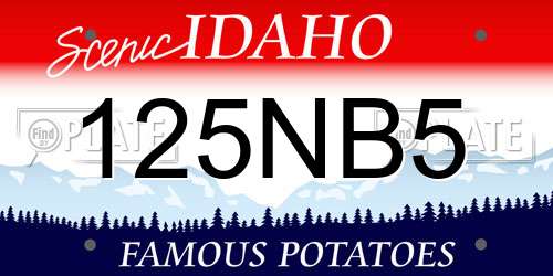 125NB5 Idaho License Plate