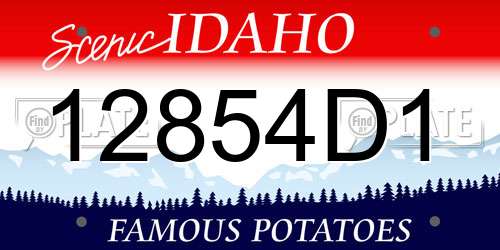 12854D1 Idaho License Plate