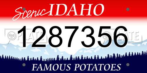 1287356 Idaho License Plate