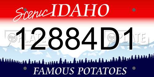 12884D1 Idaho License Plate