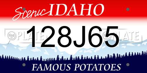 128J65 Idaho License Plate
