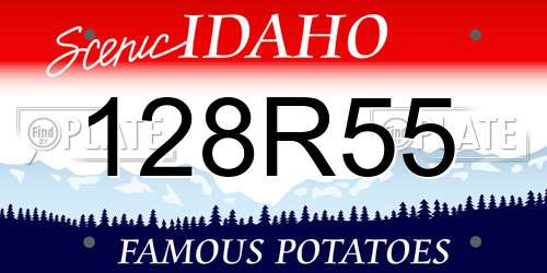 128R55 Idaho License Plate