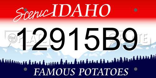 12915B9 Idaho License Plate