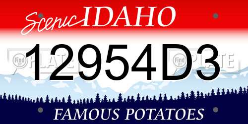 12954D3 Idaho License Plate