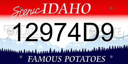 12974D9 Idaho License Plate